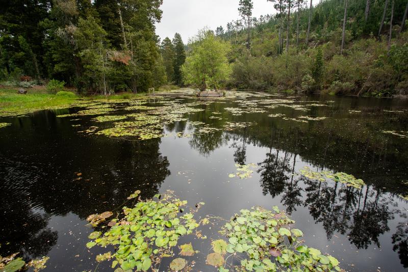 3 Bedroom Property for Sale in Plettenberg Bay Rural Western Cape